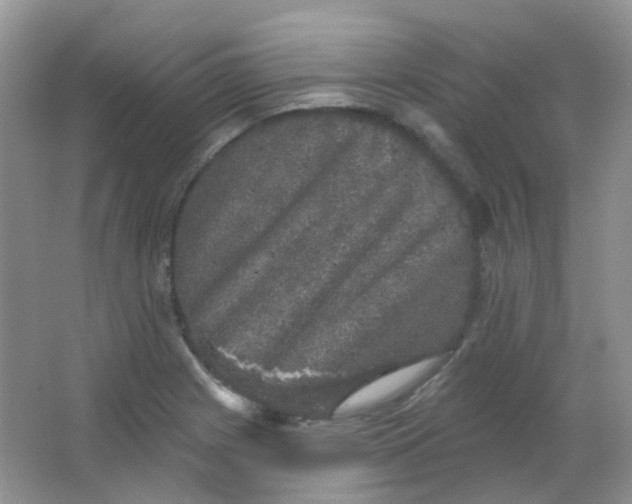 X0000065951225200603241812