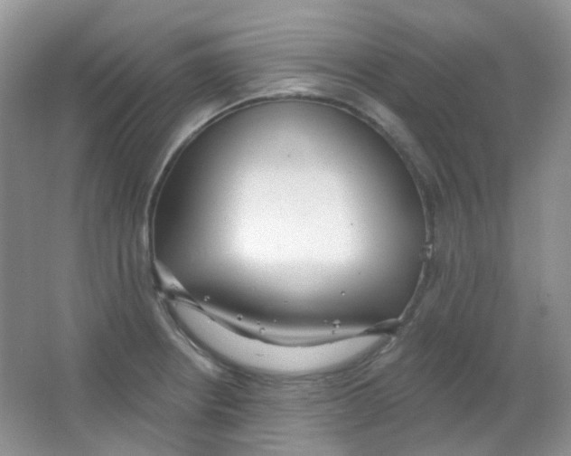 X0000065951234200603241812