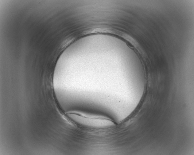 X0000065951241200603241813