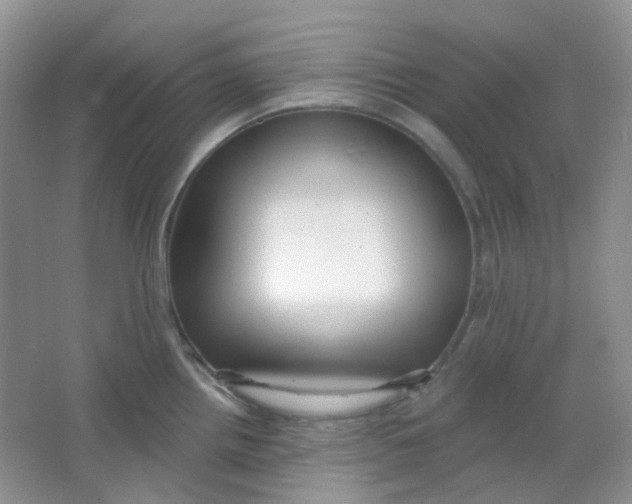 X0000065951242200603241813