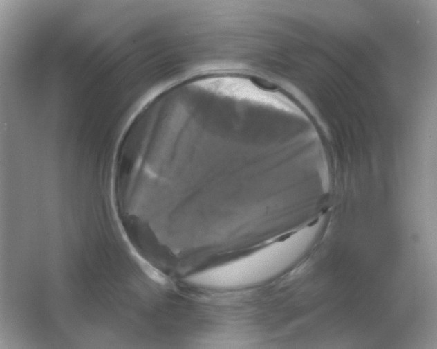 X0000065951245200603241813