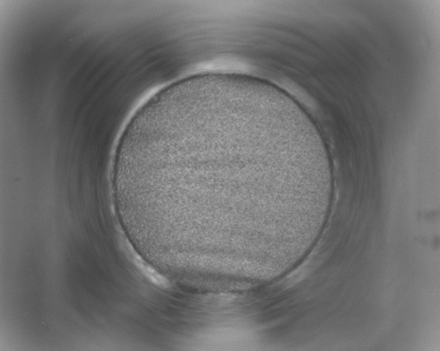 X0000065951248200603241813