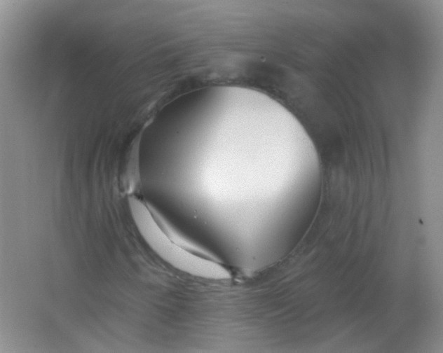 X0000065951250200603241812