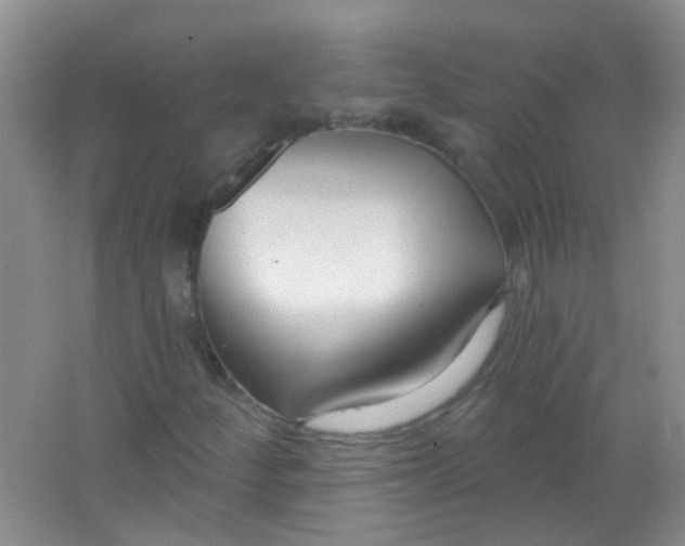 X0000065951252200603241812