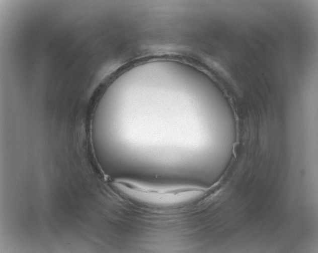 X0000065951261200603241812
