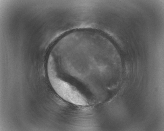 X0000065951262200603241812
