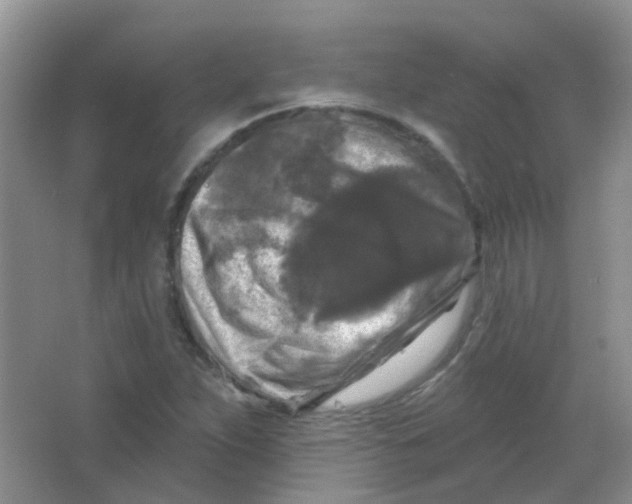 X0000065951263200603241812