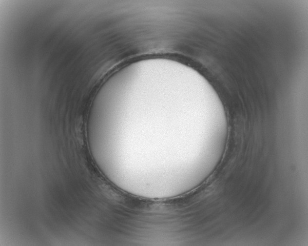 X0000065951265200603241812