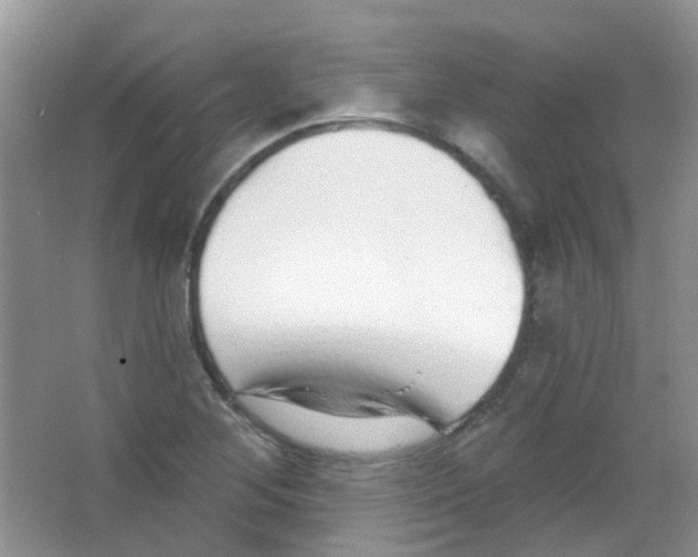 X0000065951268200603241811