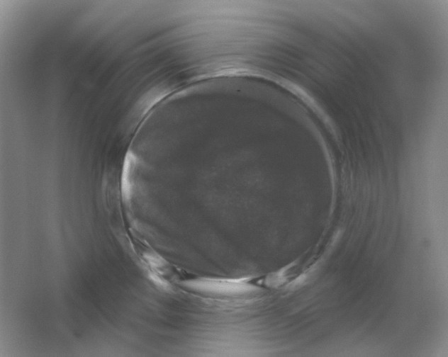 X0000065951289200603241811