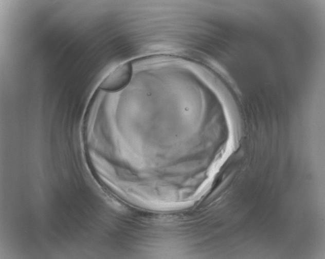 X0000065951291200603241811
