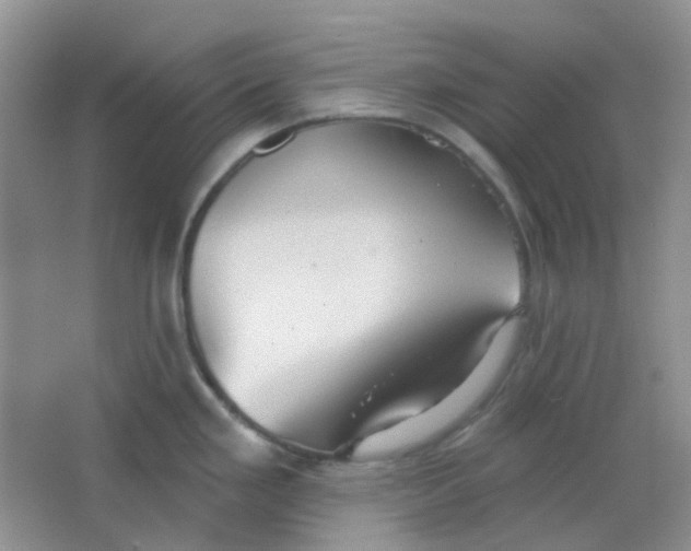 X0000065951293200603241811