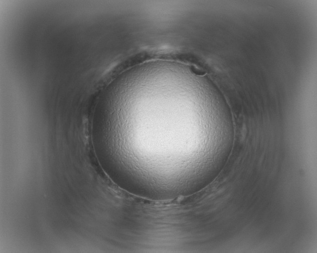 X0000065951301200603241810