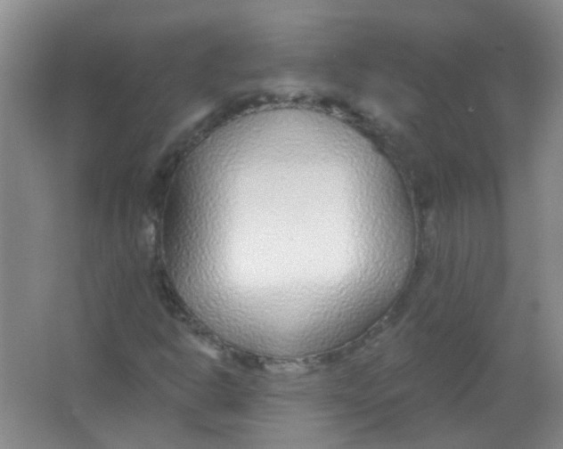 X0000065951302200603241810
