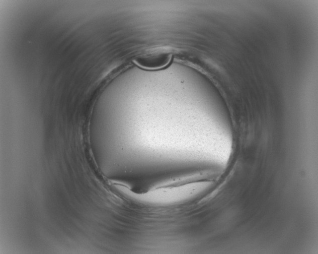X0000065951305200603241810