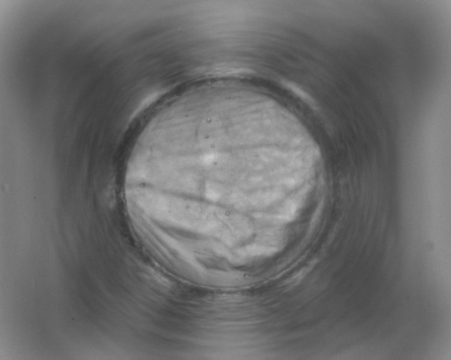 X0000065951306200603241810