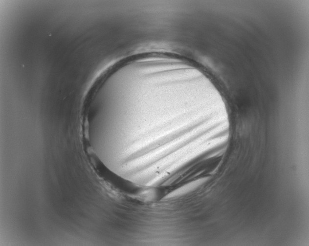 X0000065951312200603241810