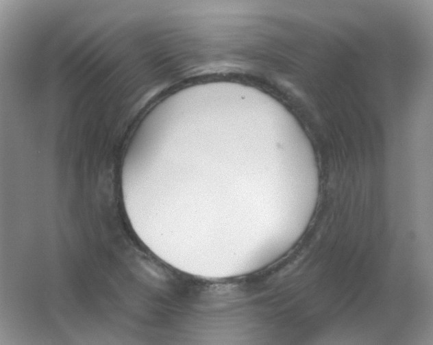 X0000065951313200603241810