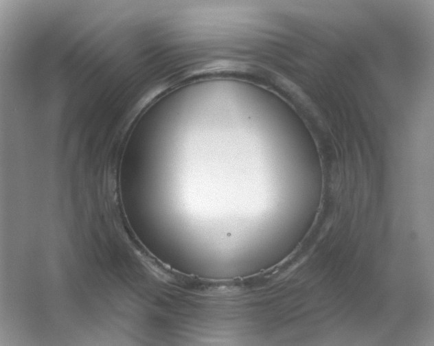 X0000065951321200603241811