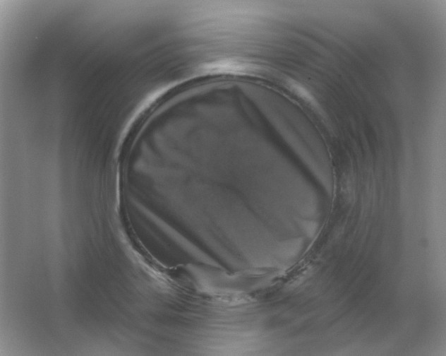 X0000065951323200603241811