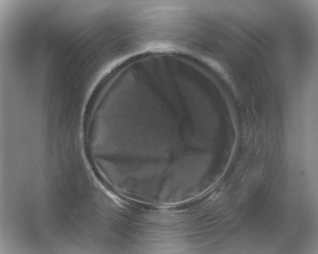 X0000065951327200603241811