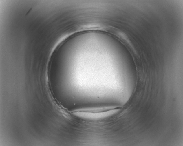 X0000065951328200603241811
