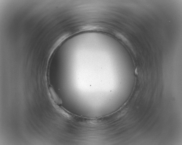 X0000065951330200603241811