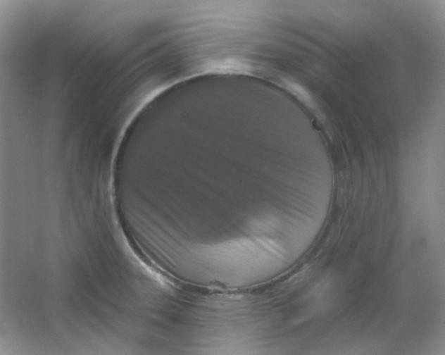 X0000065951331200603241811