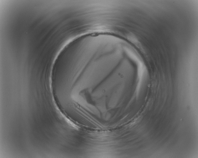 X0000065951334200603241811