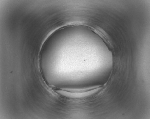 X0000065951340200603241811