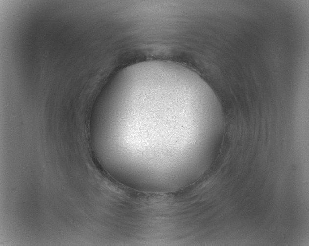 X0000065951345200603241810