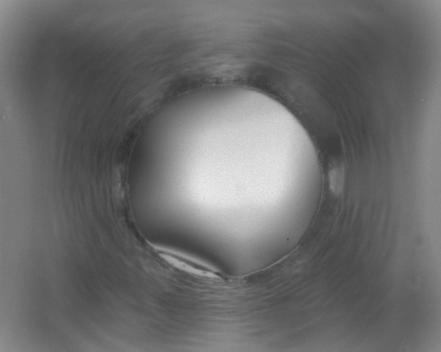 X0000065951347200603241810
