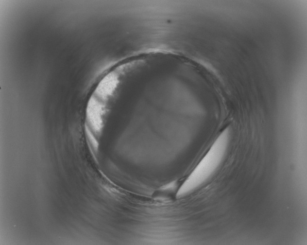 X0000065951359200603241810