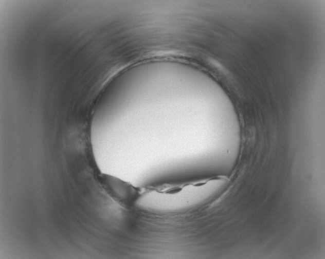 X0000065951361200603241810