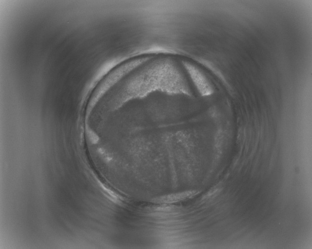 X0000065951367200603241810