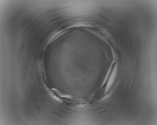 X0000065951369200603241810