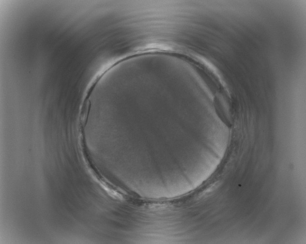 X0000065951373200603241810