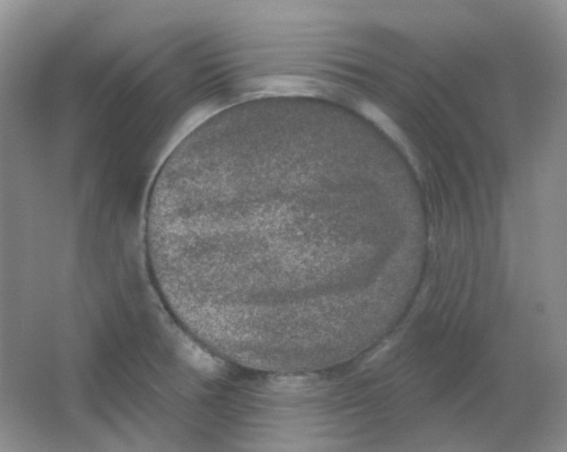 X0000065951378200603241810