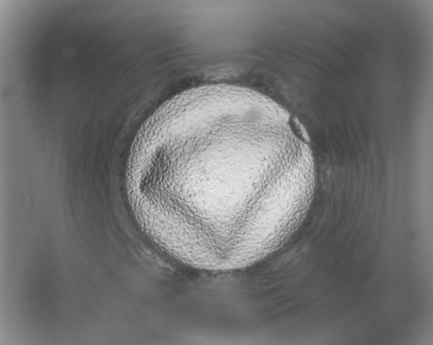 X0000065951393200603241809