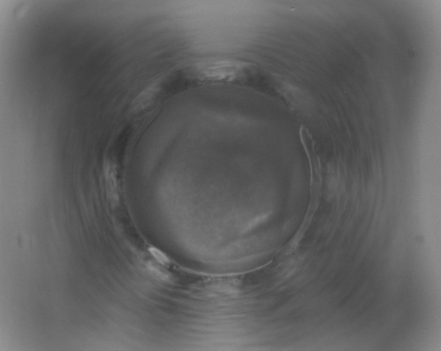 X0000065951394200603241809