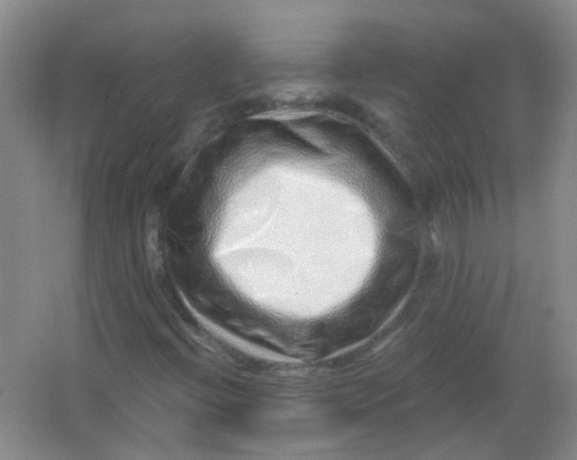X0000065951396200603241809