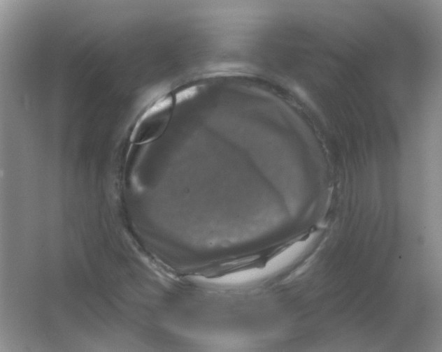 X0000065951405200603241809