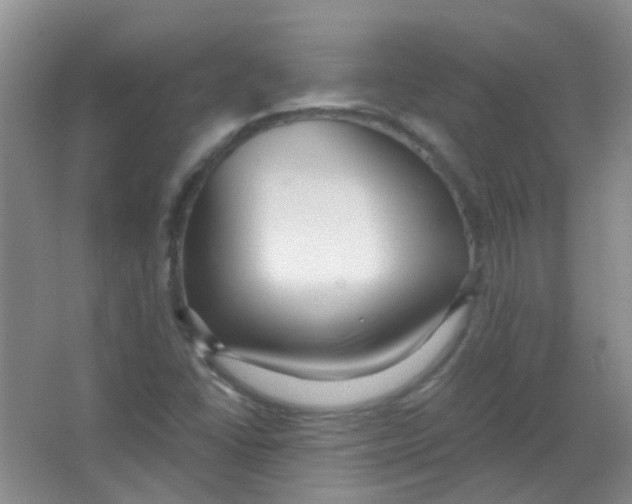 X0000065951406200603241809
