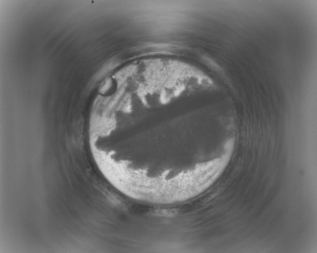 X0000065951411200603241809