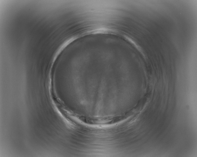 X0000065951418200603241809