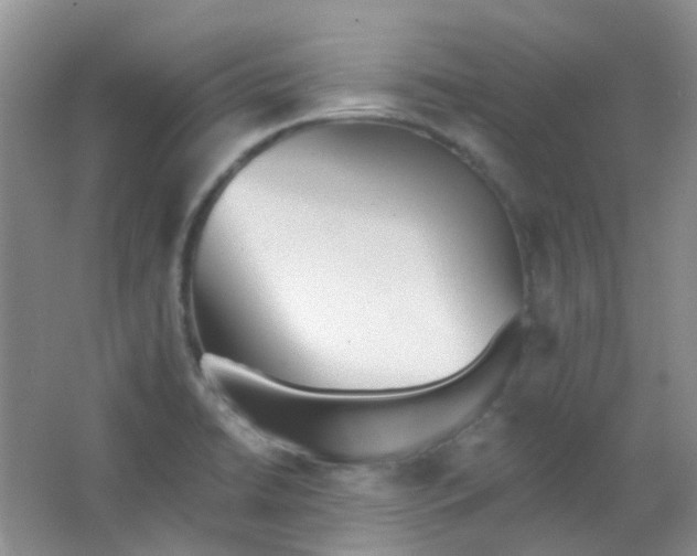 X0000065951422200603241809