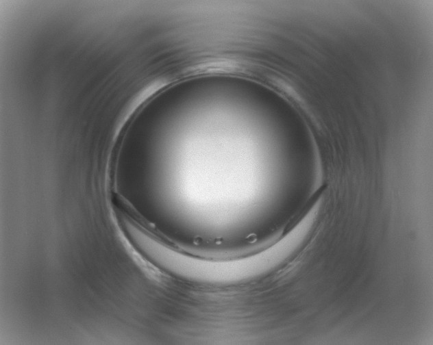 X0000065951426200603241809