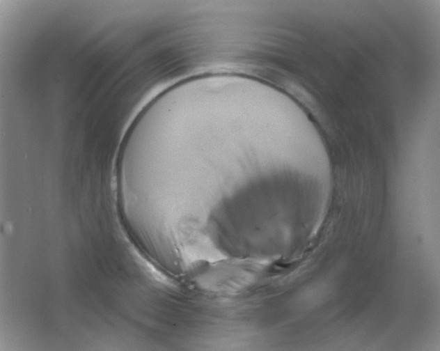X0000065951428200603241809