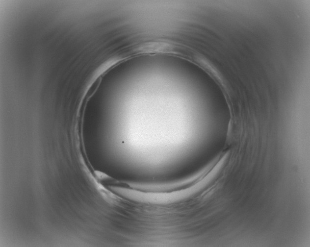 X0000065951434200603241809