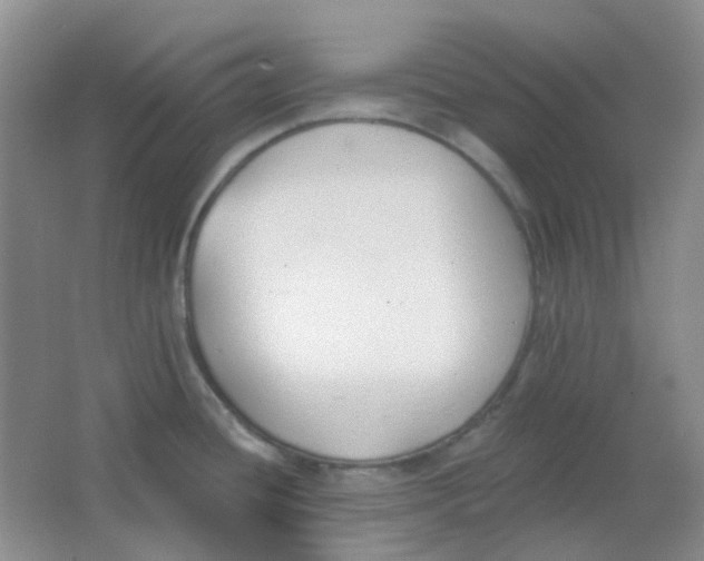 X0000065951436200603241809